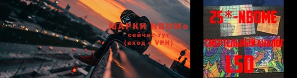 ГАЛЛЮЦИНОГЕННЫЕ ГРИБЫ Алексин