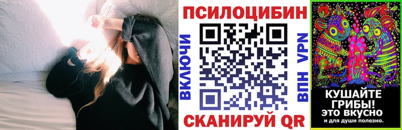Галлюциногенные грибы Psilocybe  KRAKEN ссылки  Щигры 